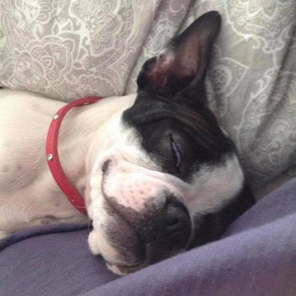 Meet your Posher, Michael - Picture 1 of 1